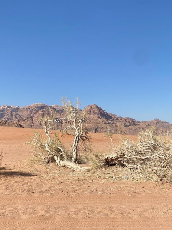 Wadirumtours&Camp Wadi Rum Buitenkant foto